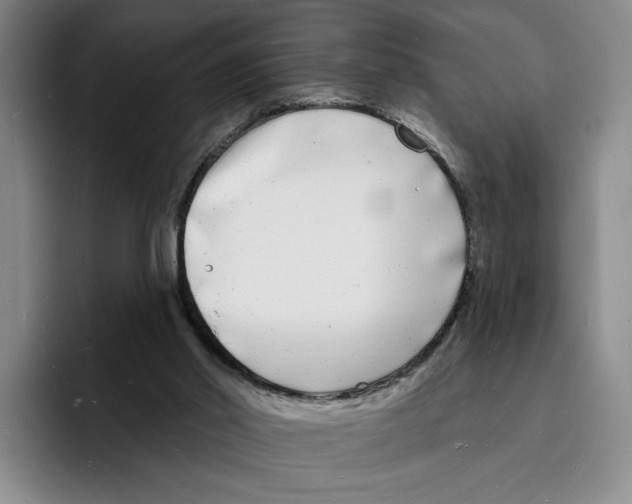 X0000096390014200802211152