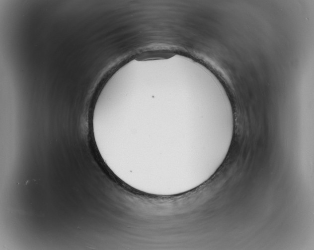 X0000096390015200802211152