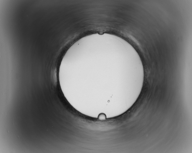 X0000096390020200802211152