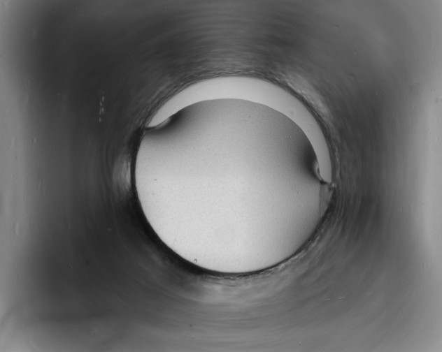 X0000096390021200802211151