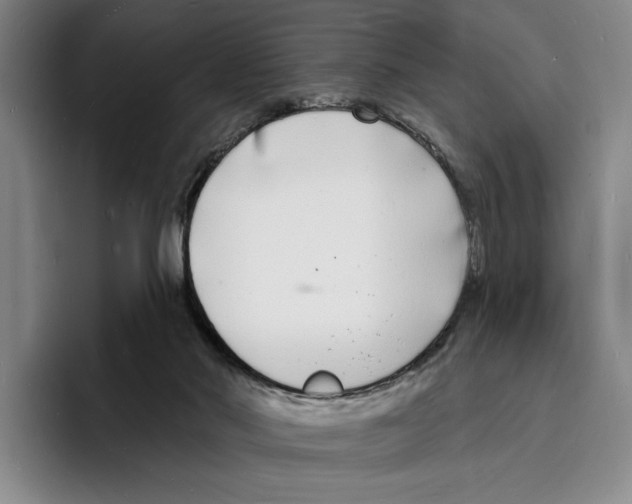 X0000096390022200802211151
