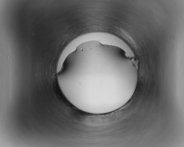 X0000096390025200802211151