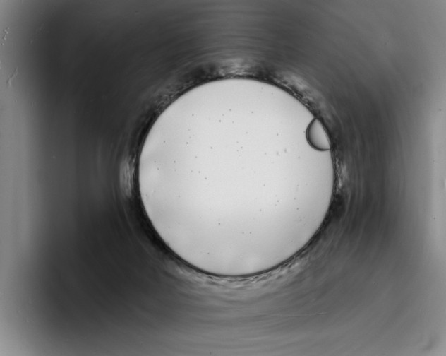 X0000096390026200802211151