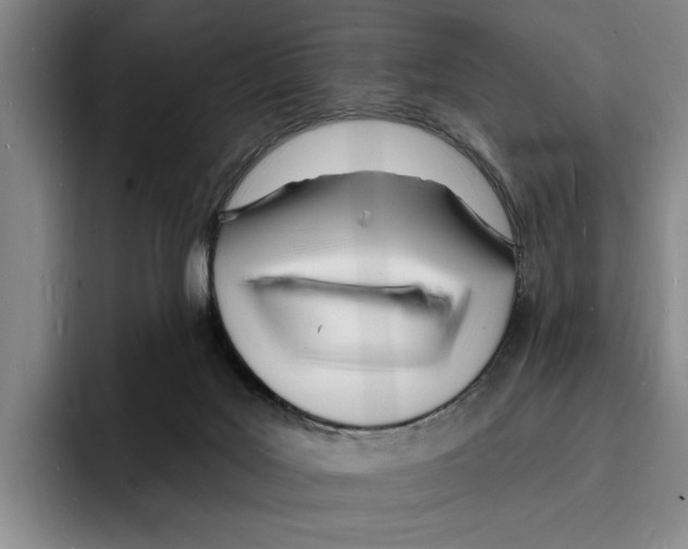 X0000096390027200802211151