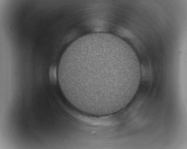 X0000096390028200802211151