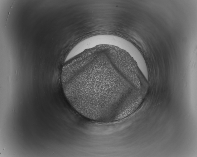 X0000096390029200802211151