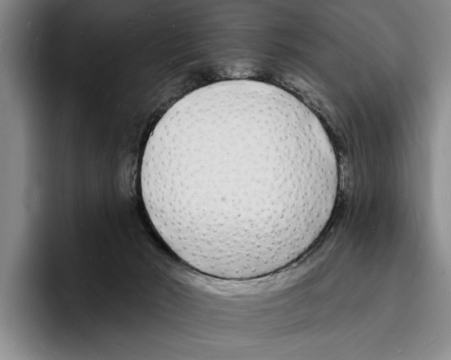 X0000096390030200802211151