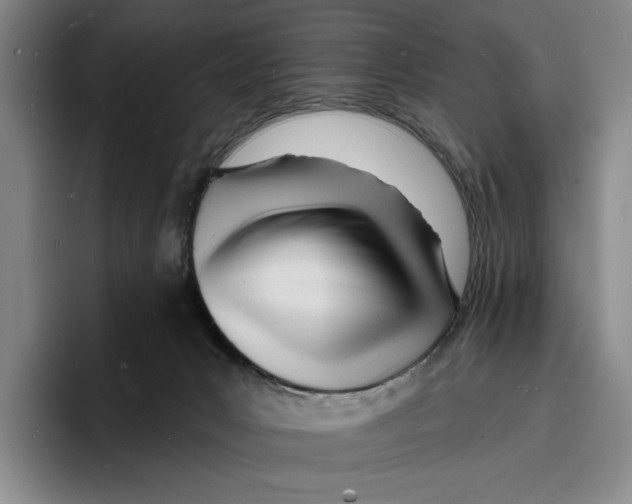 X0000096390031200802211151