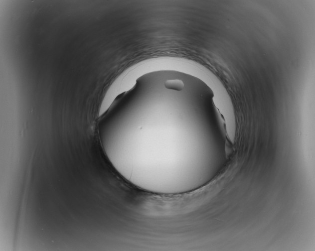 X0000096390033200802211151