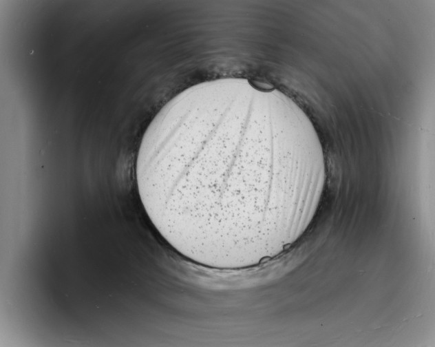 X0000096390034200802211151