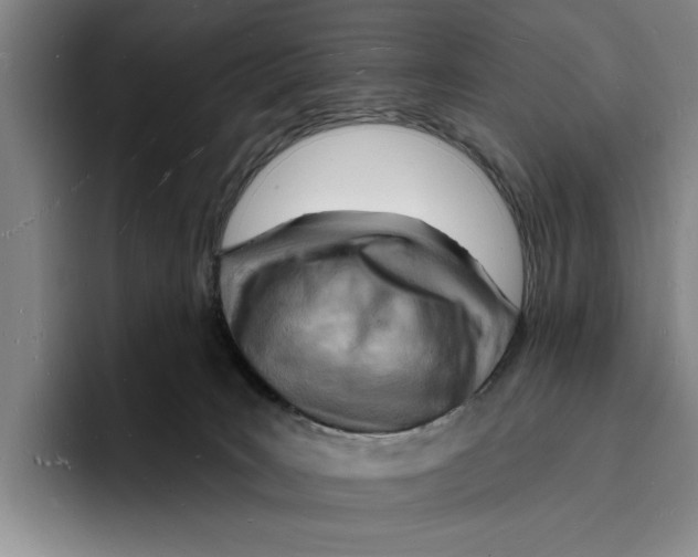 X0000096390035200802211151