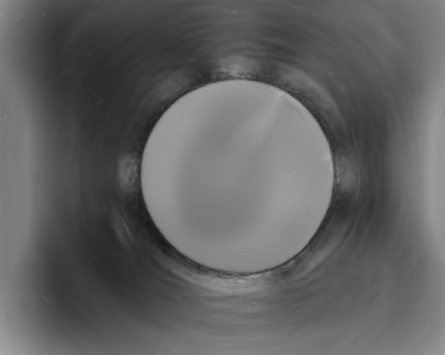 X0000096390036200802211151