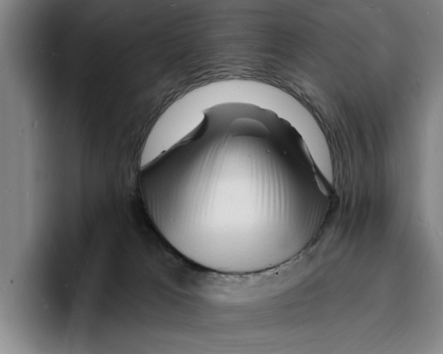 X0000096390037200802211151