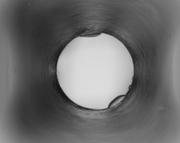 X0000096390040200802211151