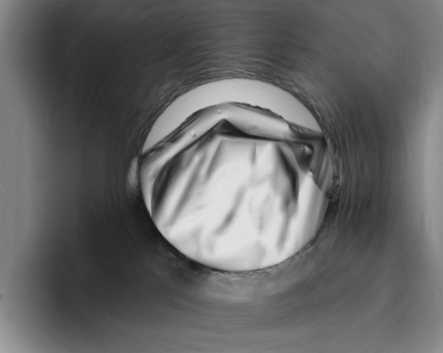 X0000096390041200802211151