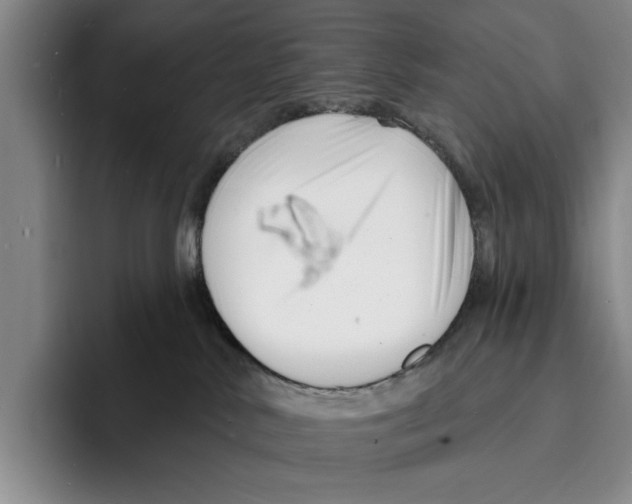 X0000096390042200802211151