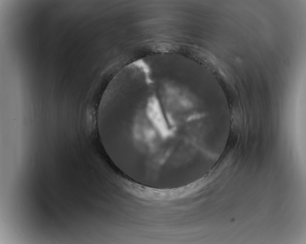 X0000096390043200802211151