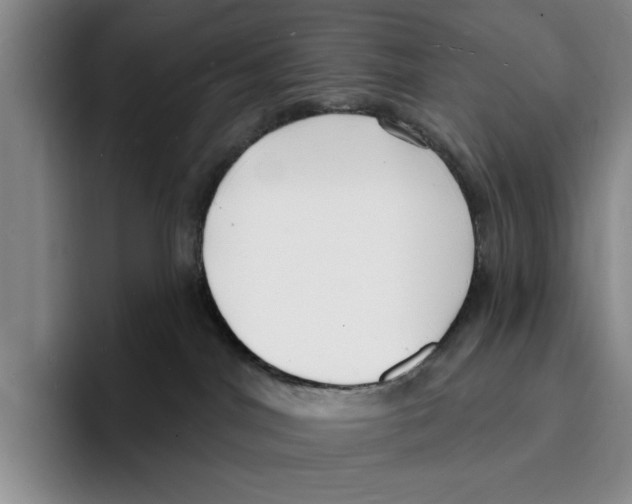 X0000096390044200802211151