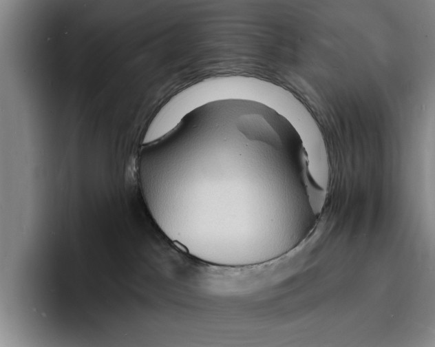 X0000096390045200802211151