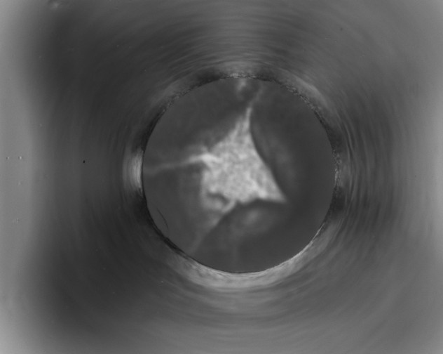 X0000096390047200802211151