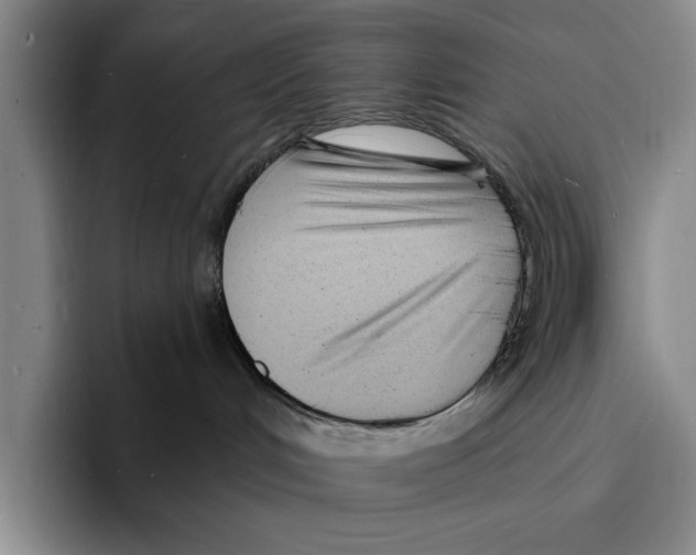 X0000096390048200802211151