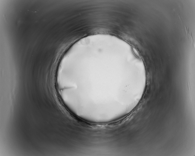 X0000096390049200802211150