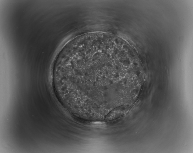 X0000096390053200802211150