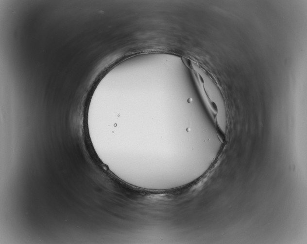 X0000096390054200802211150