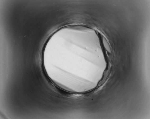 X0000096390055200802211151