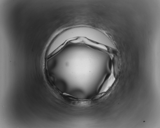 X0000096390056200802211151