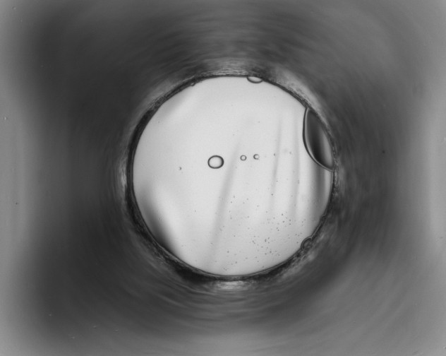 X0000096390059200802211151