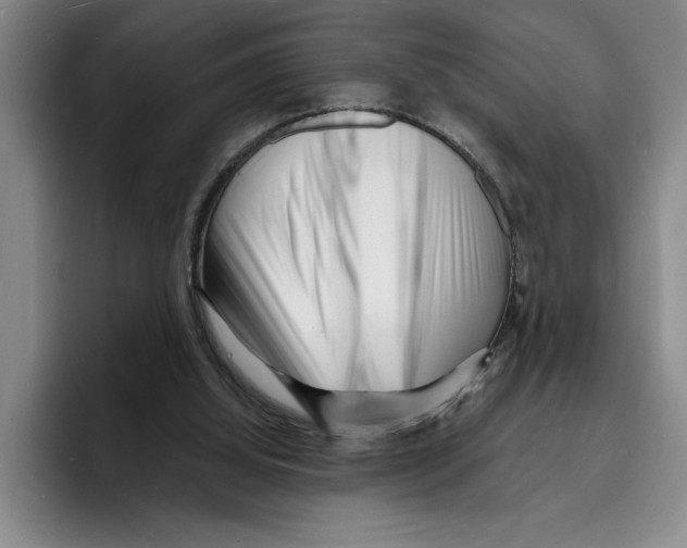 X0000096390060200802211151