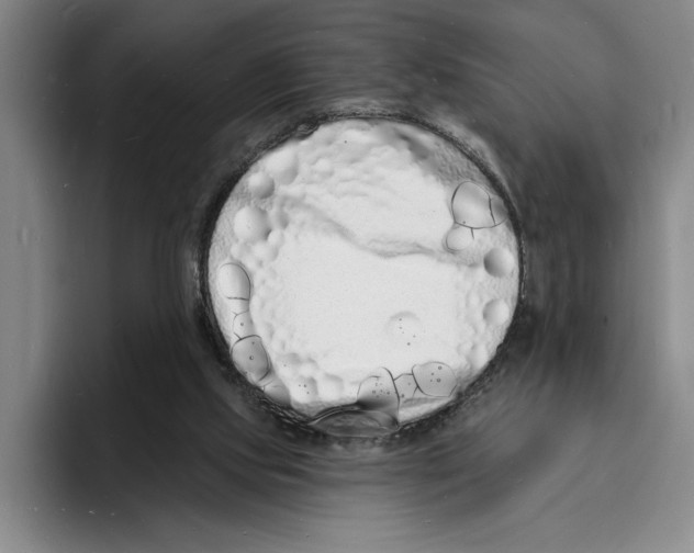 X0000096390061200802211151