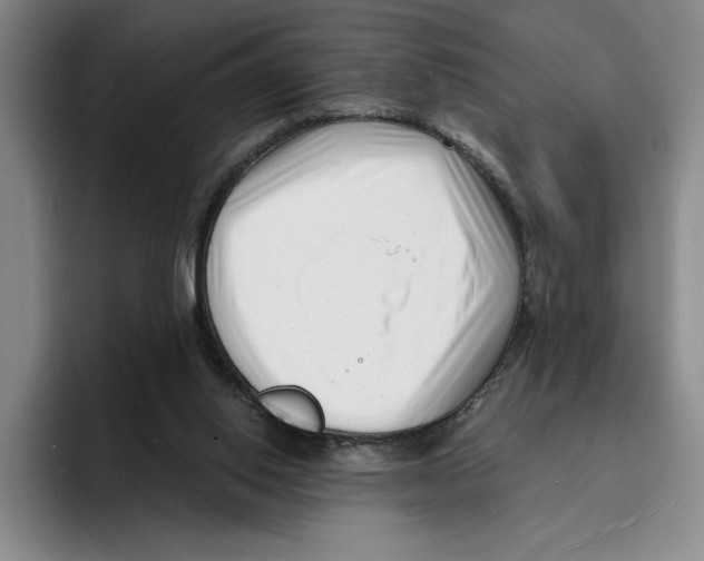X0000096390062200802211151