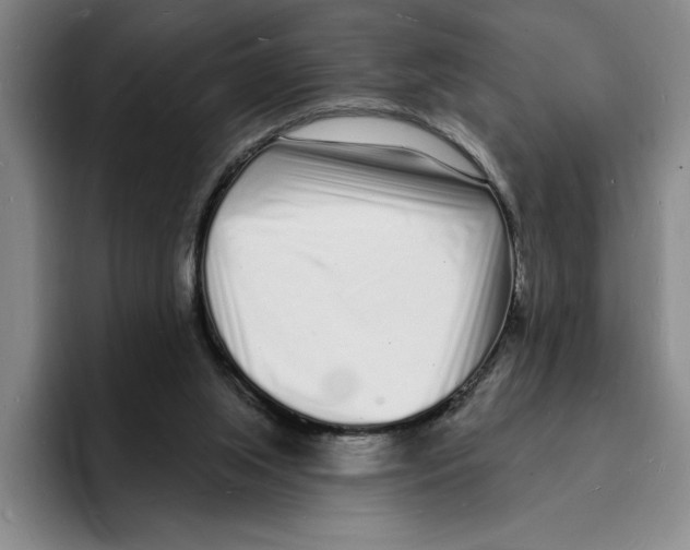 X0000096390063200802211151