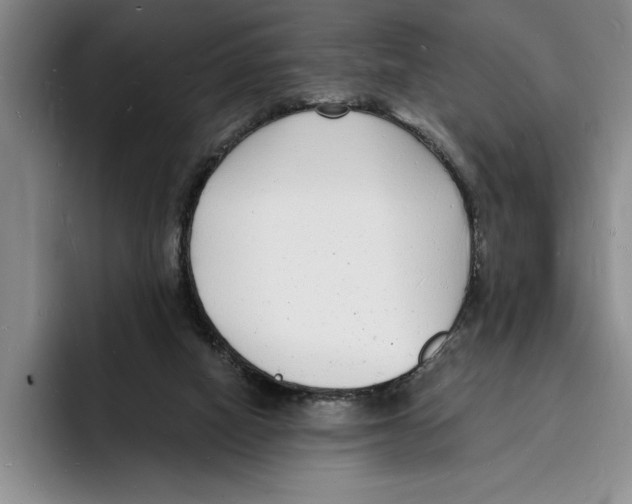 X0000096390066200802211151