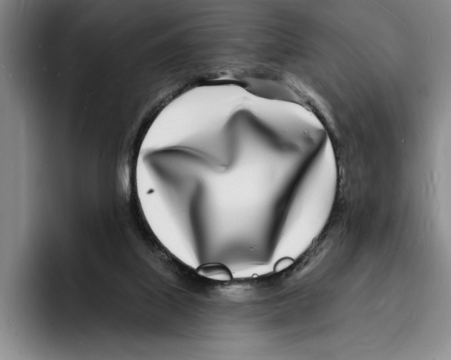 X0000096390067200802211151