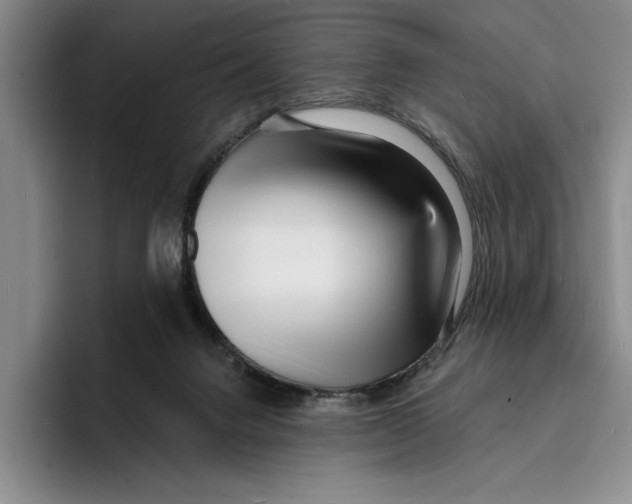 X0000096390072200802211151
