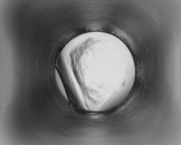 X0000096390073200802211151