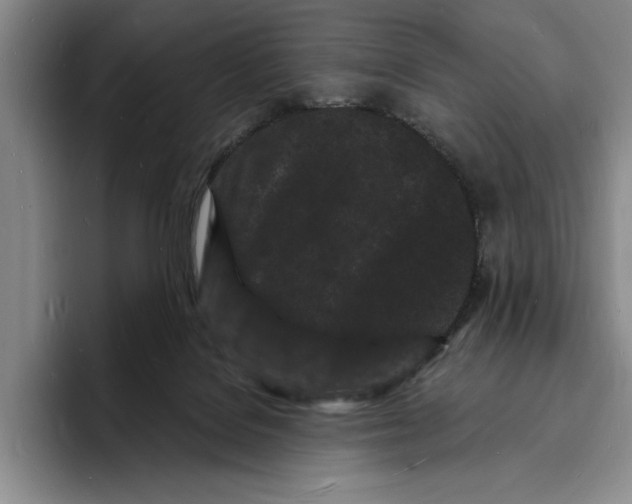 X0000096390076200802211151