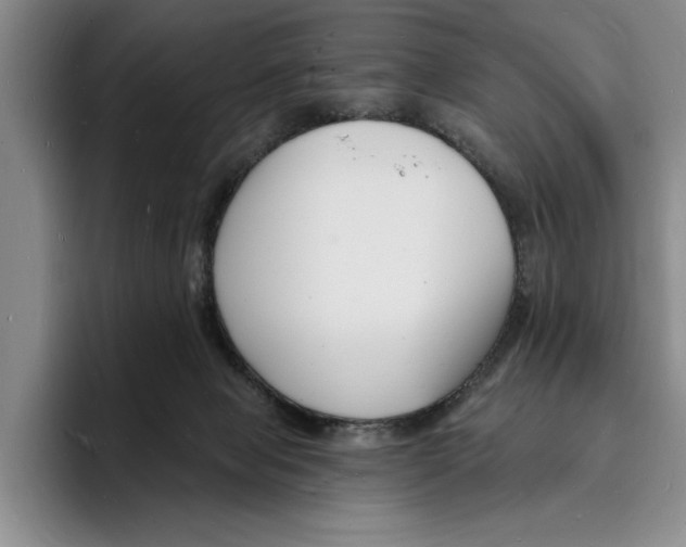 X0000096390077200802211151