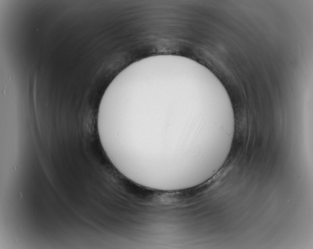 X0000096390078200802211151