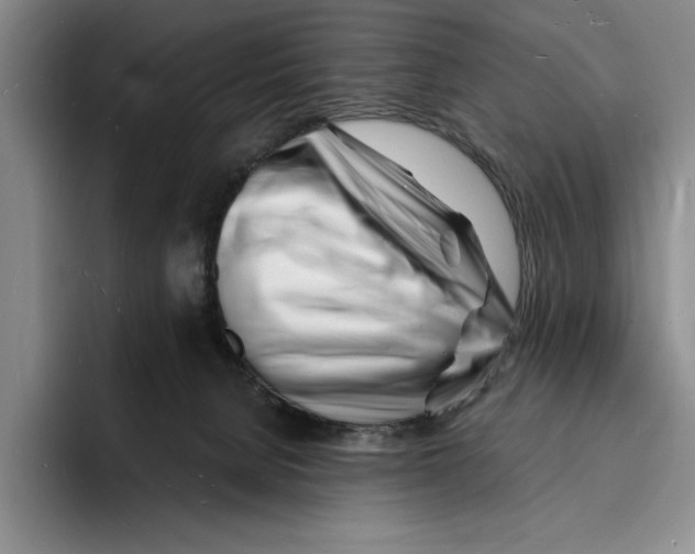 X0000096390080200802211151