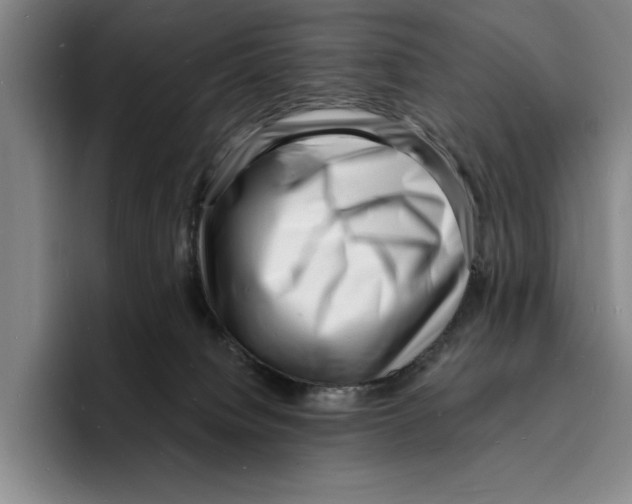 X0000096390084200802211151