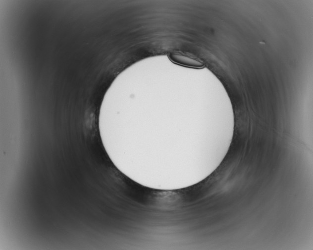 X0000096390087200802211151