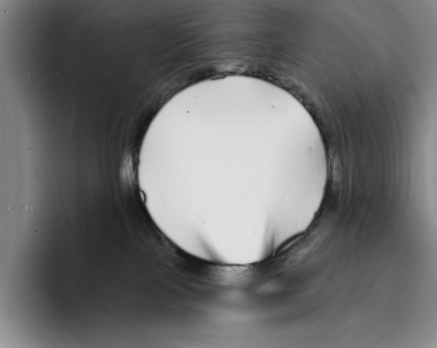 X0000096390089200802211151