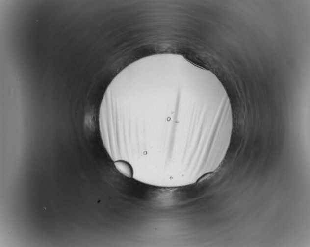 X0000096390090200802211151