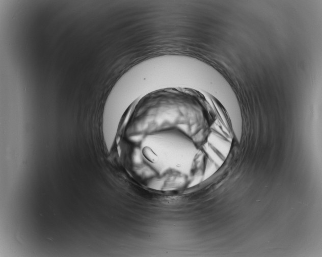 X0000096390092200802211151