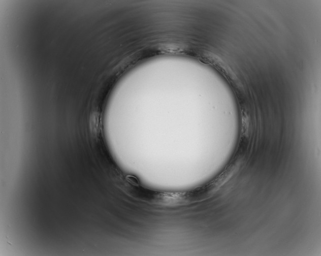 X0000096390093200802211151