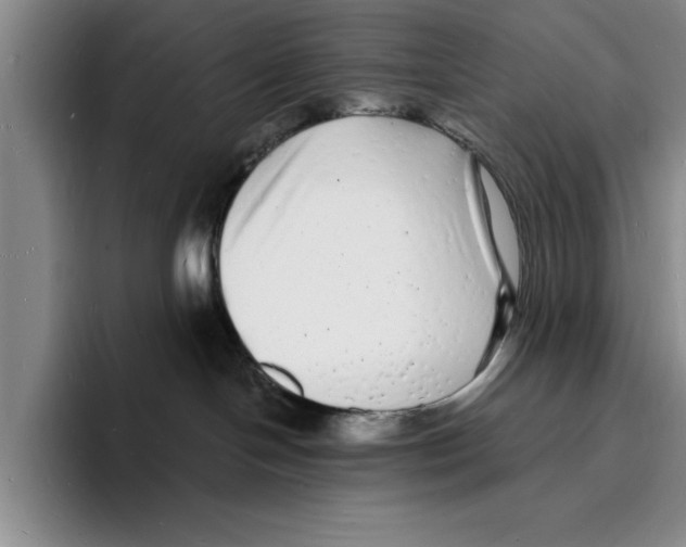 X0000096390094200802211151